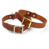 Hundehalsband - cognac