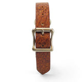 Hundehalsband - Gipsy cognac