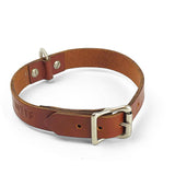 Hundehalsband - cognac